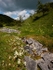 Deep Dale #04