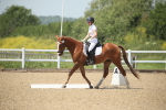 SBM_009475