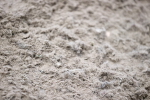 SBM_003130