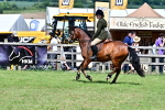 SBM_08014