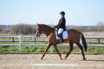 SBM_003338