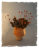 Cactus in Pot