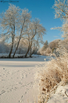 Frozen Over