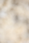 20260802-0759