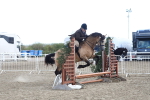 SBM_12145