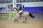 SBM_003251