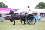 SBM_05805
