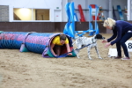 SBM_005465