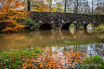 High Water at Minnowburn Stone Bridge in Autumn