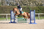 Unaffiliated Show Jumping portfolio
