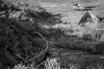 DSC04674