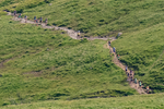 Wasdale-175