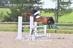 BPP_3317