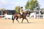 SBM_12911