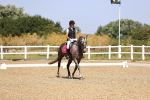 SBM_010379