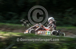 GKMC Hillclimb_13-08-2016_KART-47