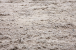 SBM_001758