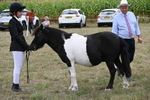 WJ6_5518
