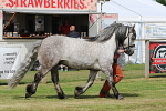 SIAL5149