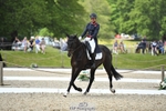 106-BAYAANAAT-Izzy_Taylor-WEDTrotUp+DR portfolio