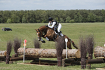 BVHT 140517  IXC -266
