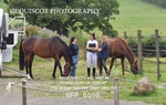 BPP_6598