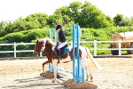 SBM_006669