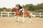 SBM_008354
