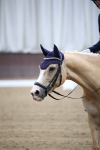SBM_005403