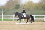 SBM_006331