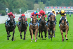 080925-Race 2-Alzahir-7794