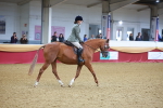 SBM_09742