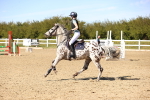 SBM_003258