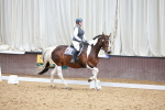 SBM_011453