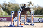 Class 7 - Pony Foxhunter portfolio