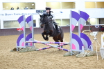 SBM_001409