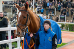 161125-Race 1-Astelia-1189