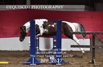 BPP_2627
