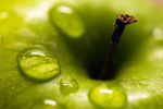 Apple - 7109