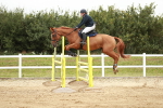 SBM_006089