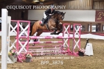 BPP_3876