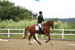 SBM_000905