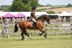 SBM_06908