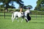 SBM_35368