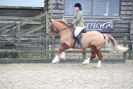 SBM_006158
