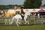 SBM_10254