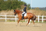 SBM_000859