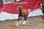 JAC_6171