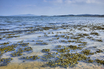 Tide coming in at Morecambe