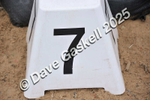 D8F_4335